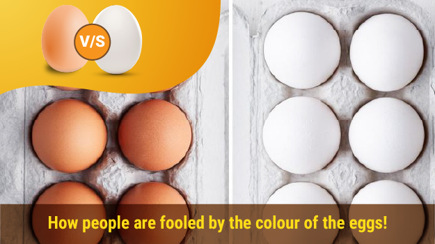 Qwellness Newsletter – Egg Yolk Color and Health