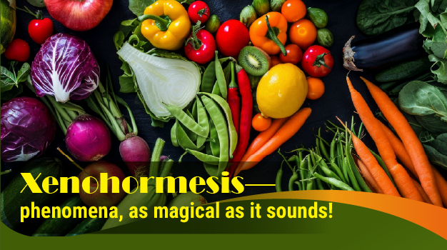 Qwellness Newsletter – Xenohormesis Explained