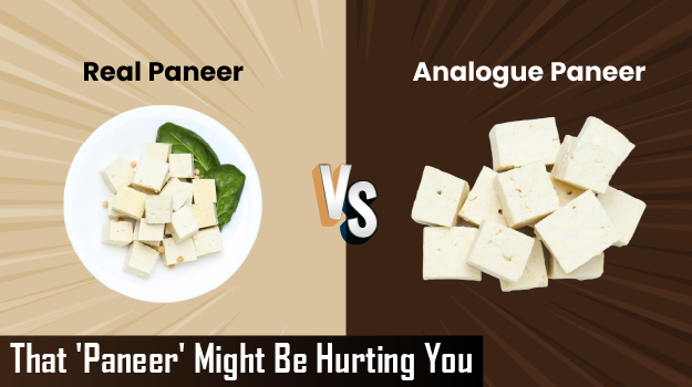 Qwellness Newsletter – Paneer and Digestion Awareness