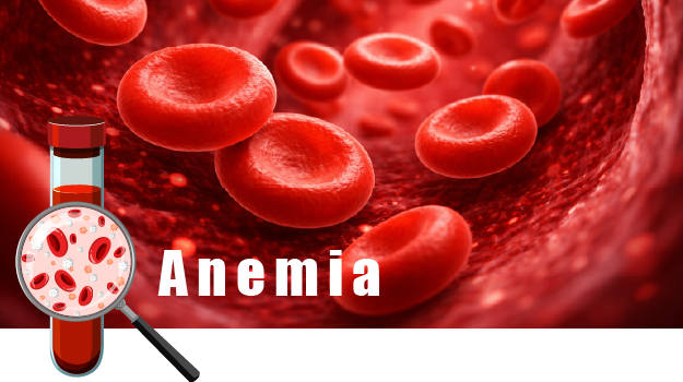 Qwellness Newsletter – Fatigue and Anemia Awareness